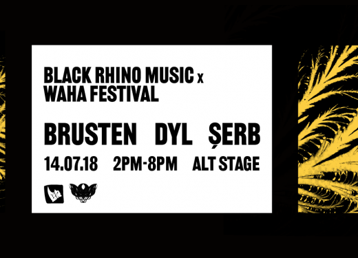 Black Rhino Music x Waha Festival showcase